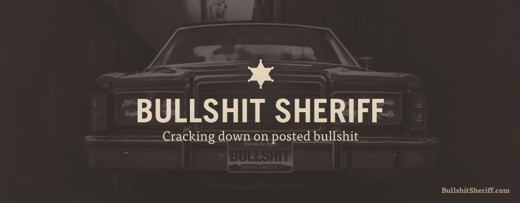 Bullshit Sheriff portfolio image