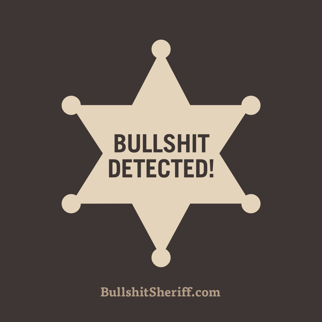 Bullshit Sheriff portfolio image