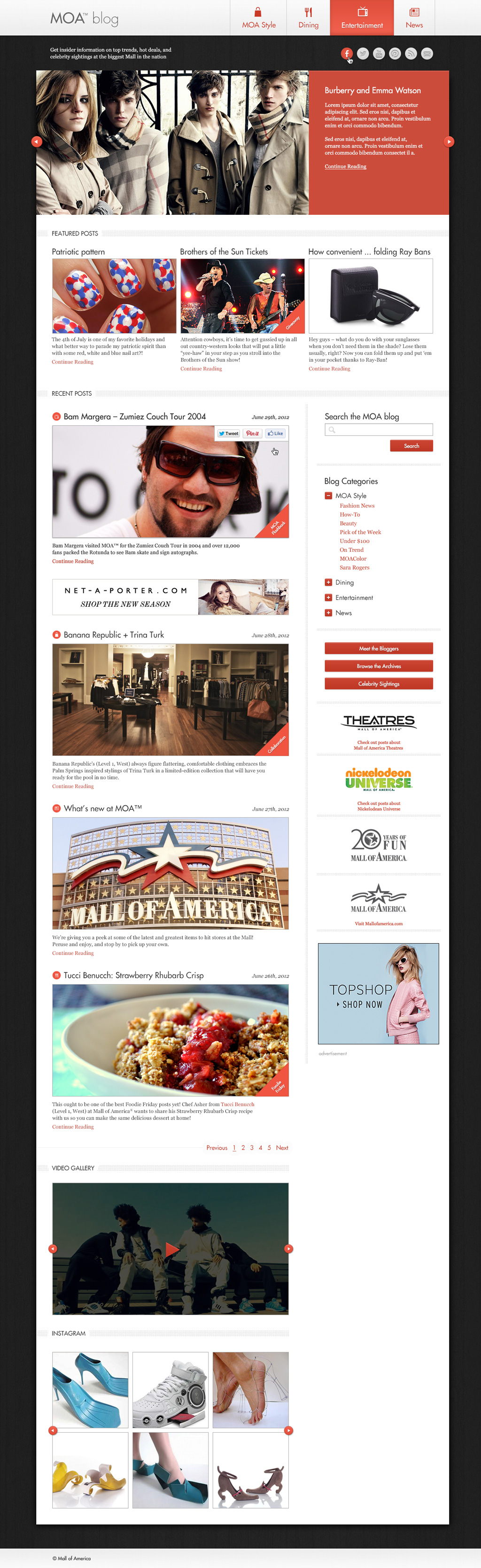 Mall of America Blog portfolio image