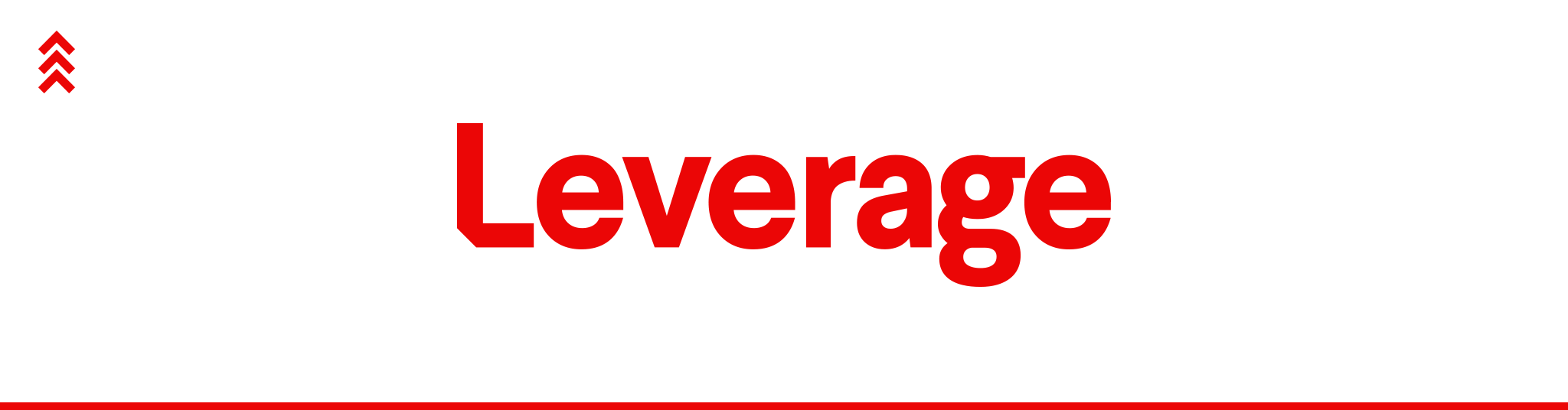 Leverage portfolio image