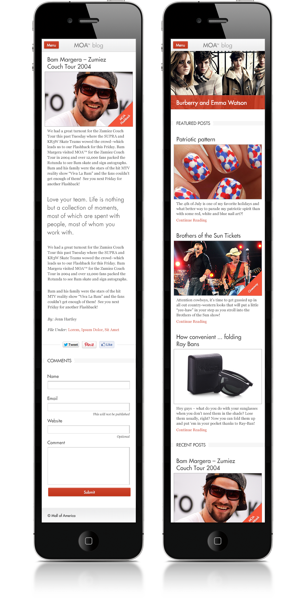 Mall of America Blog portfolio image